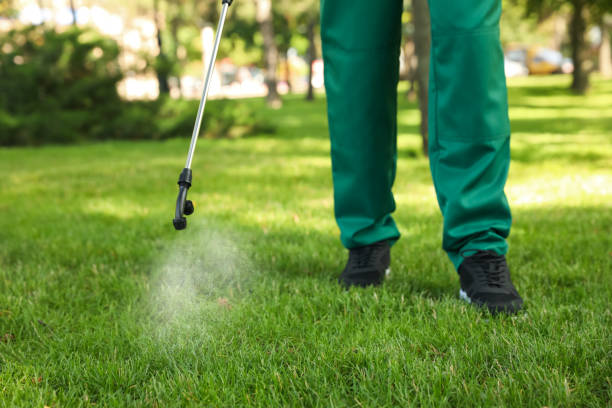 Best Best Pest Control Companies  in East Prairie, MO