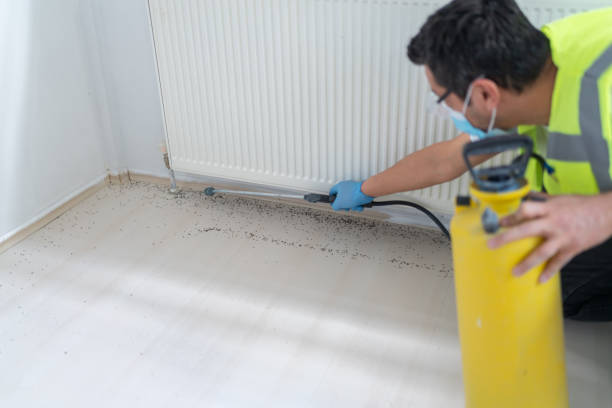 Best Local Pest Control Services  in East Prairie, MO