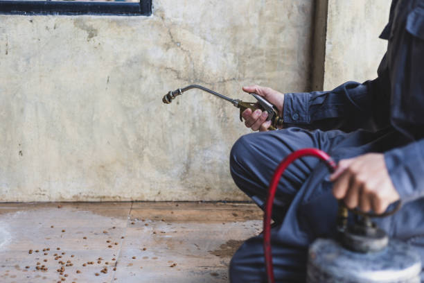Best Mosquito Control Services  in East Prairie, MO